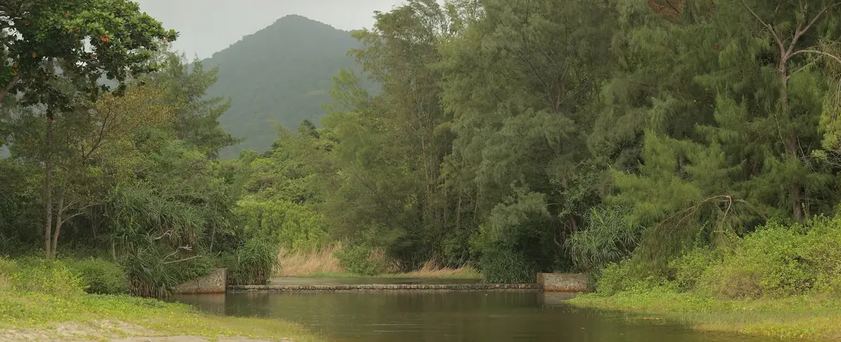 Con Dao Island