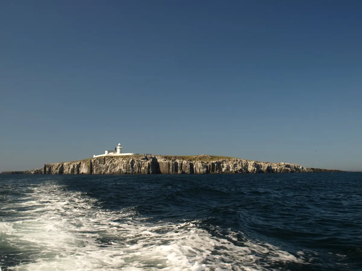 Farne islands