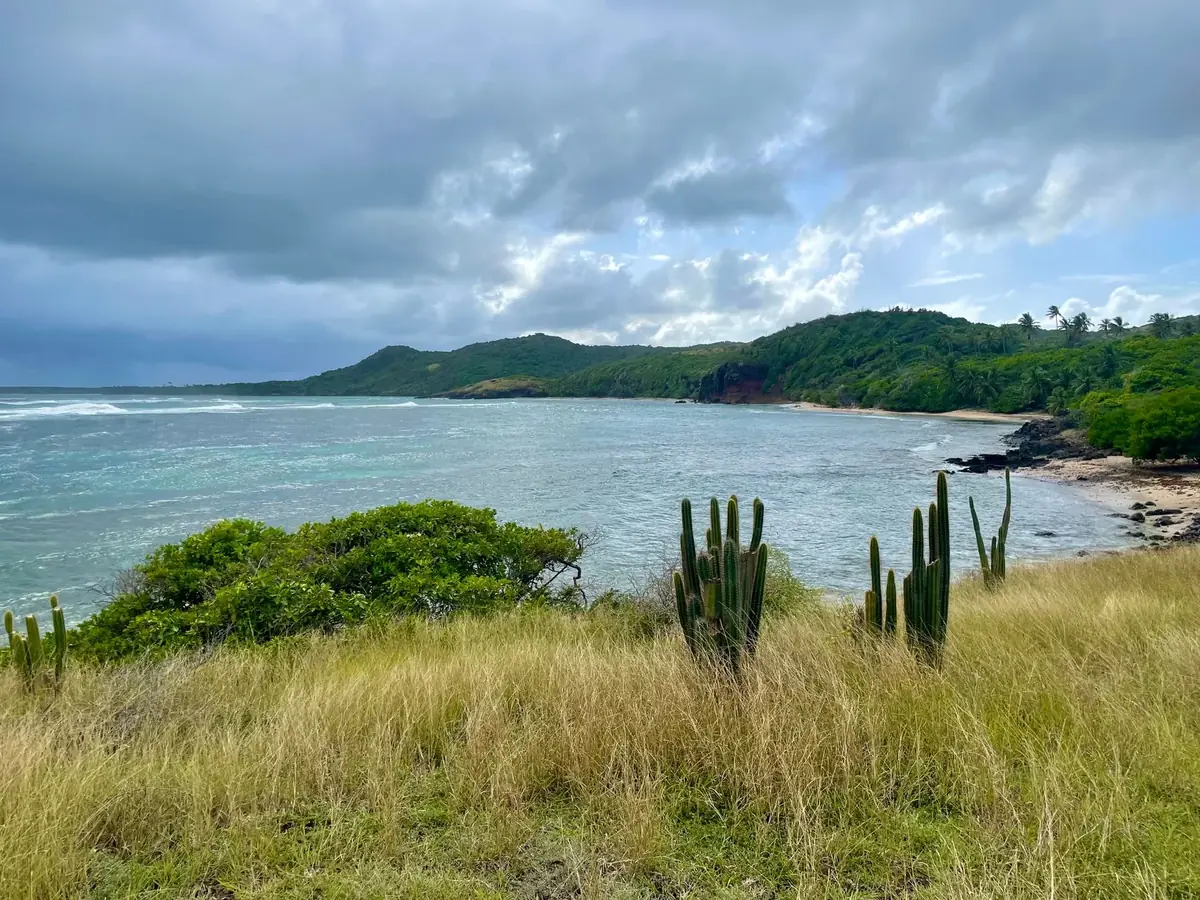 Martinique