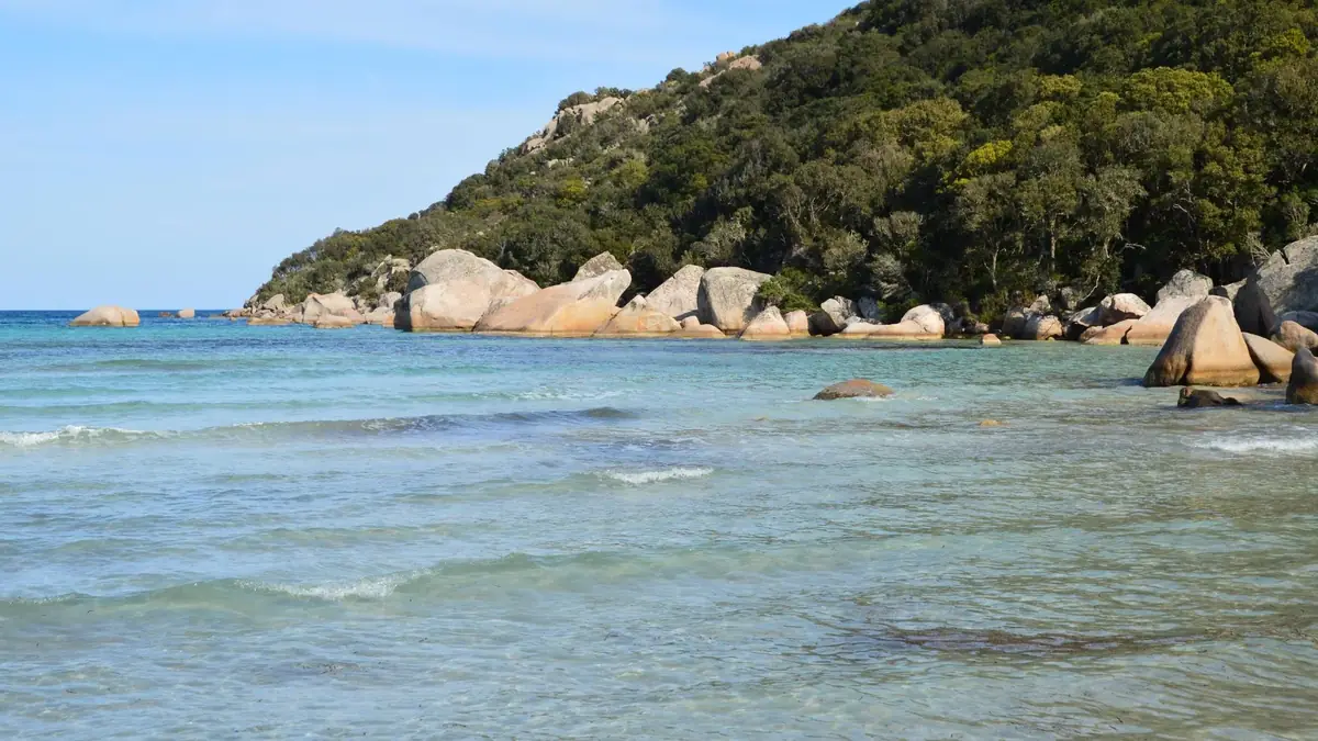 Porto - Corse