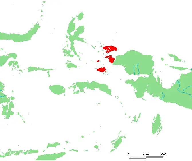Raja Ampat