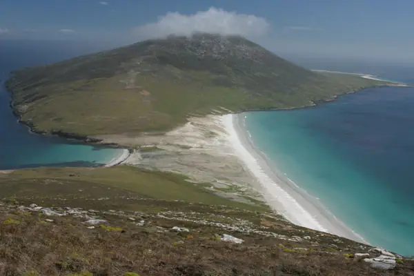 Saunders Island, Falkland Islands