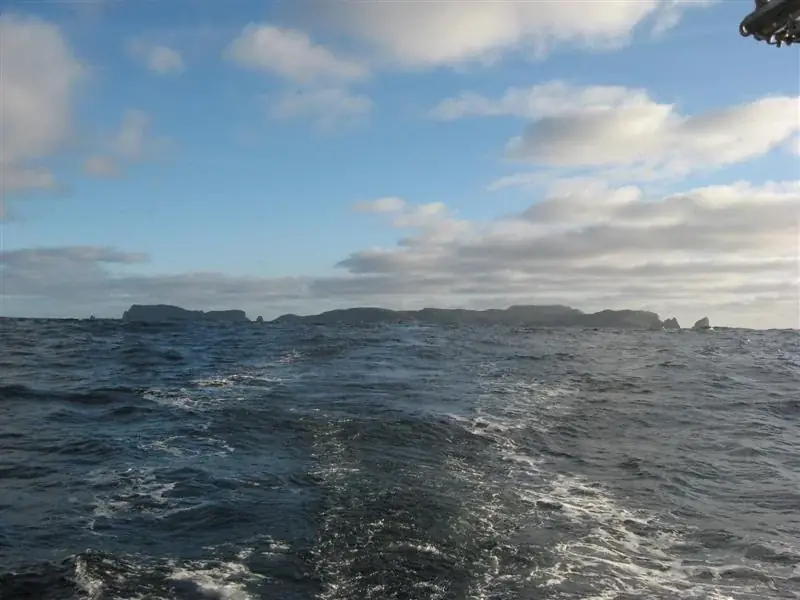 Snares Islands