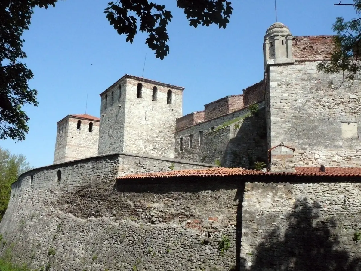 Vidin