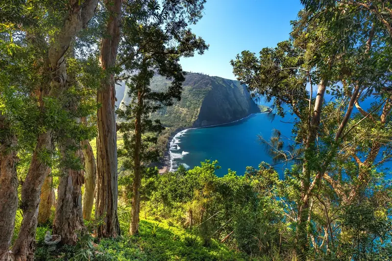 Hawaii