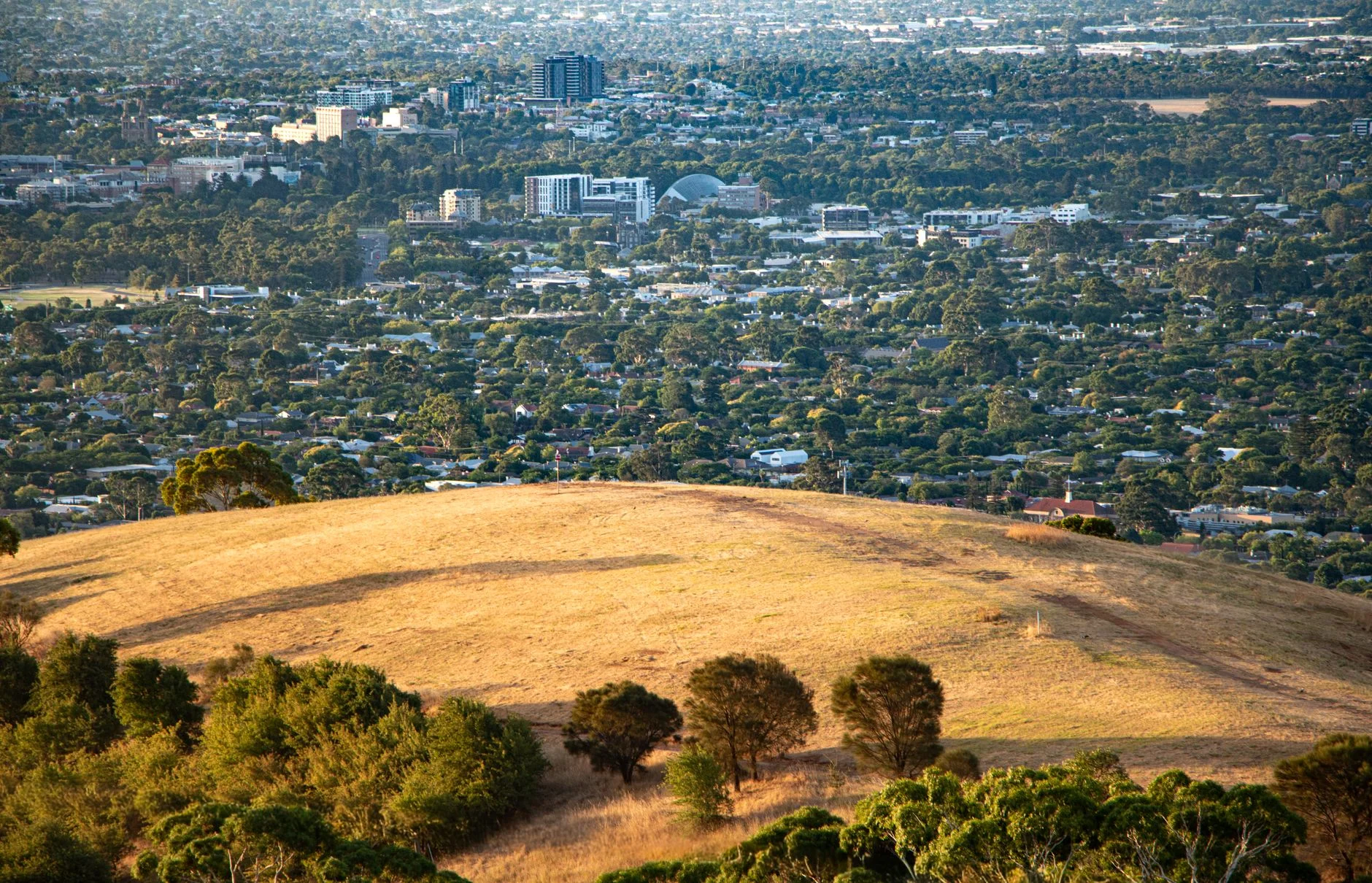 Adelaide