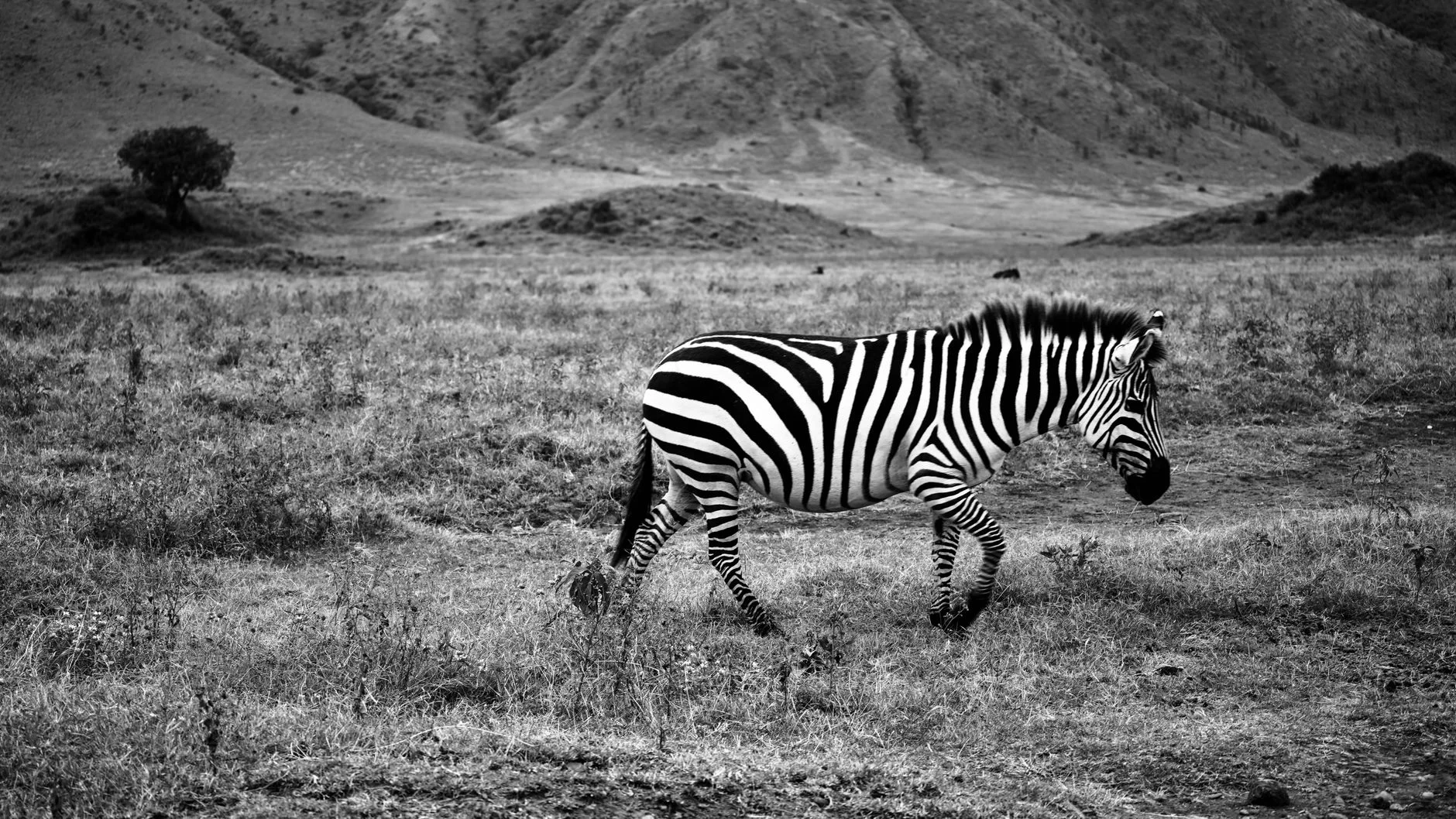 Tanzania