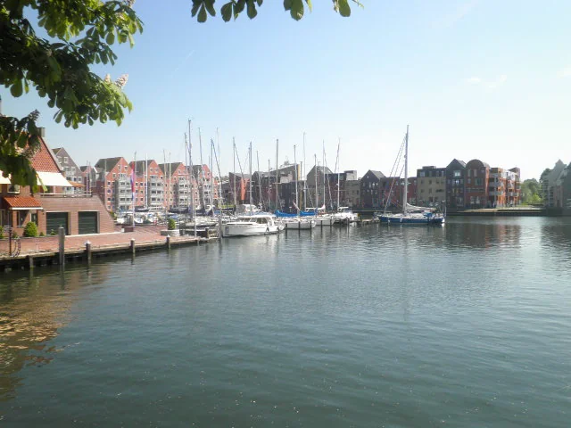 Hoorn