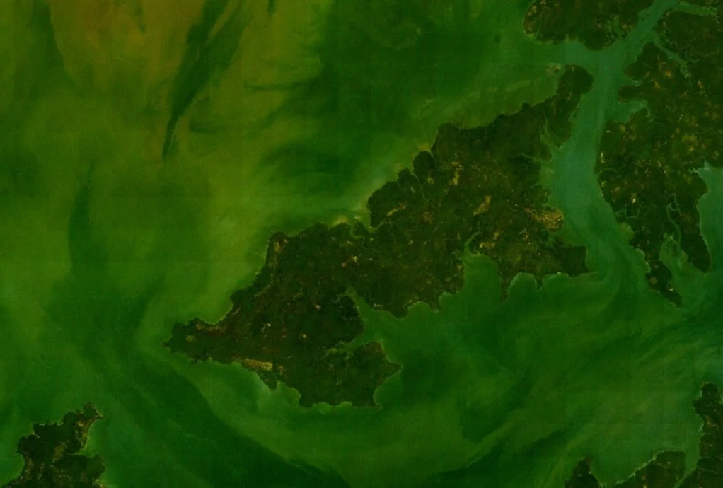 Ilha Grande