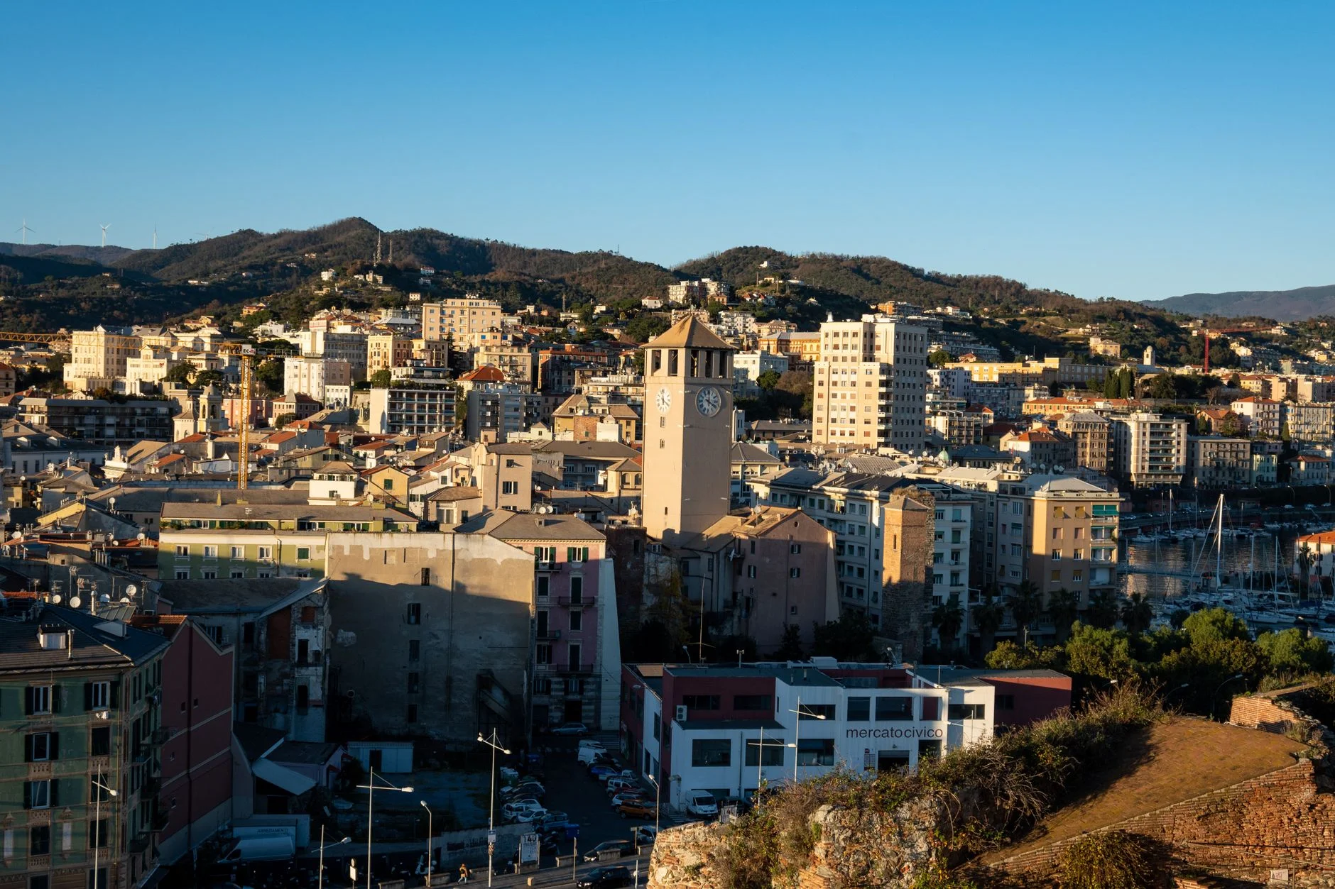 Savona