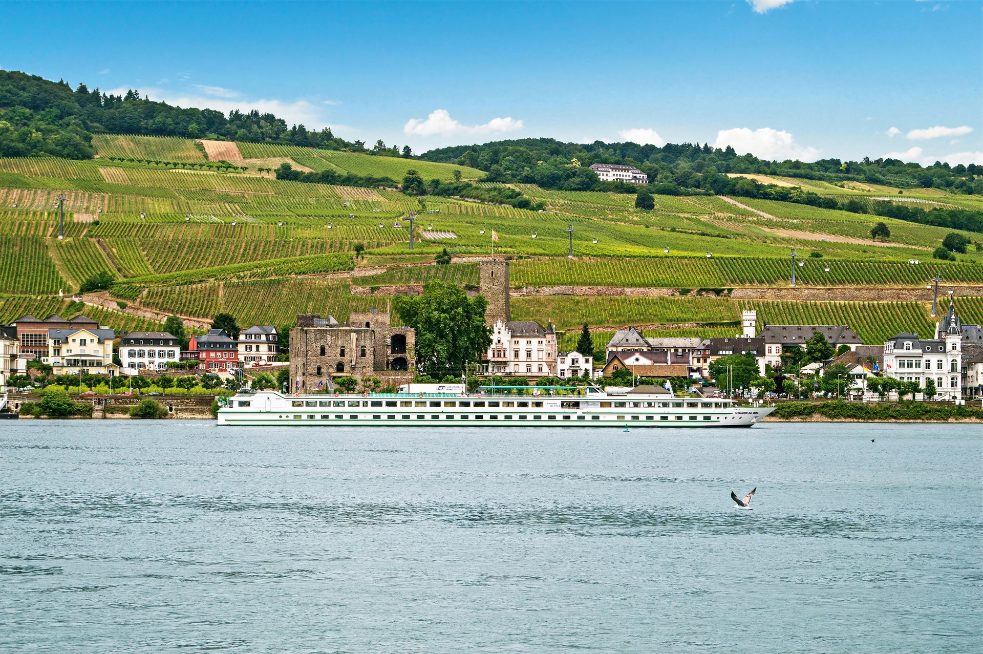 MS Leonard De Vinci